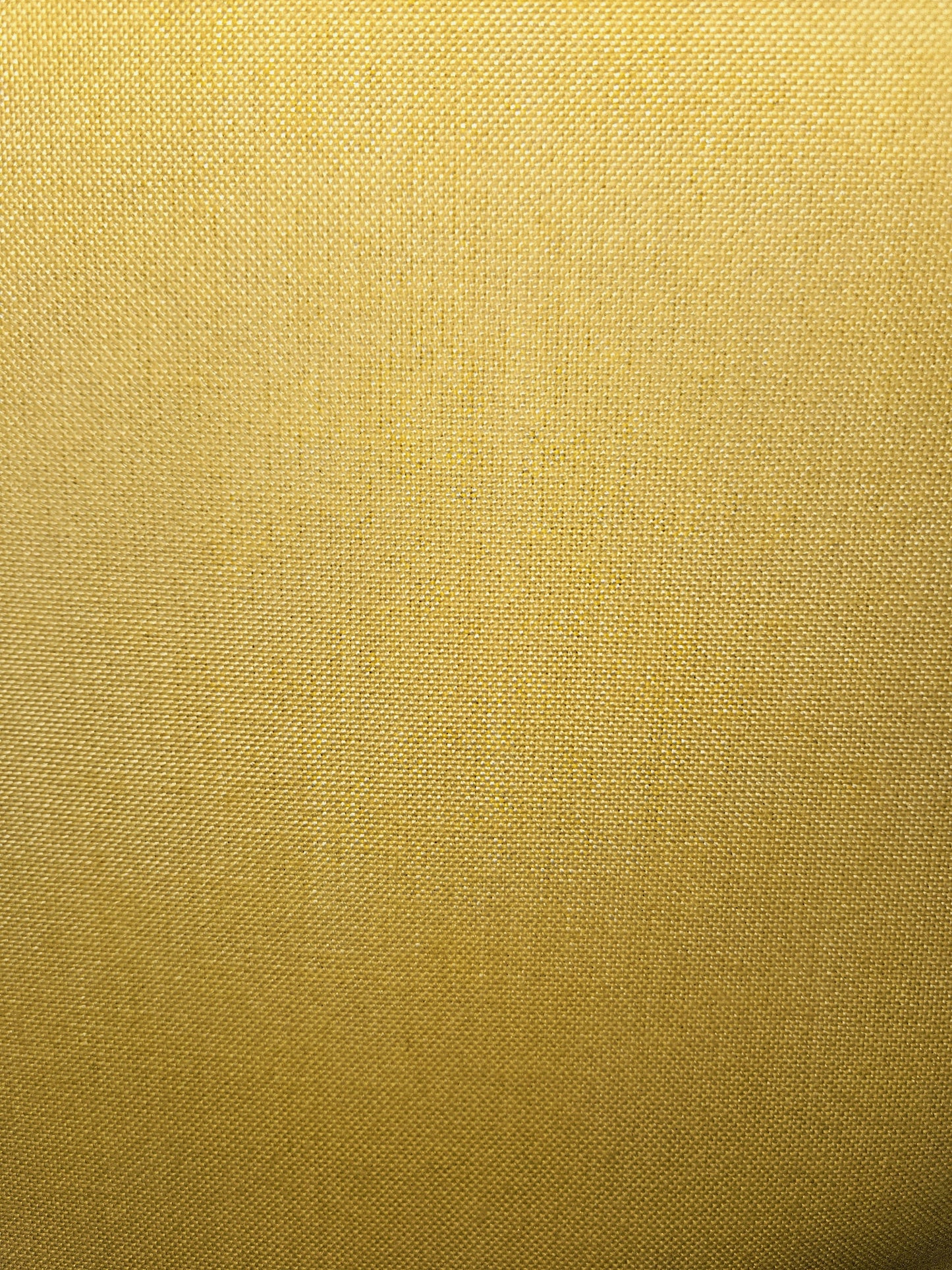 MERRIDAN DAFFODIL AZURE