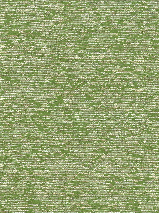 ACACIA 21 FERN