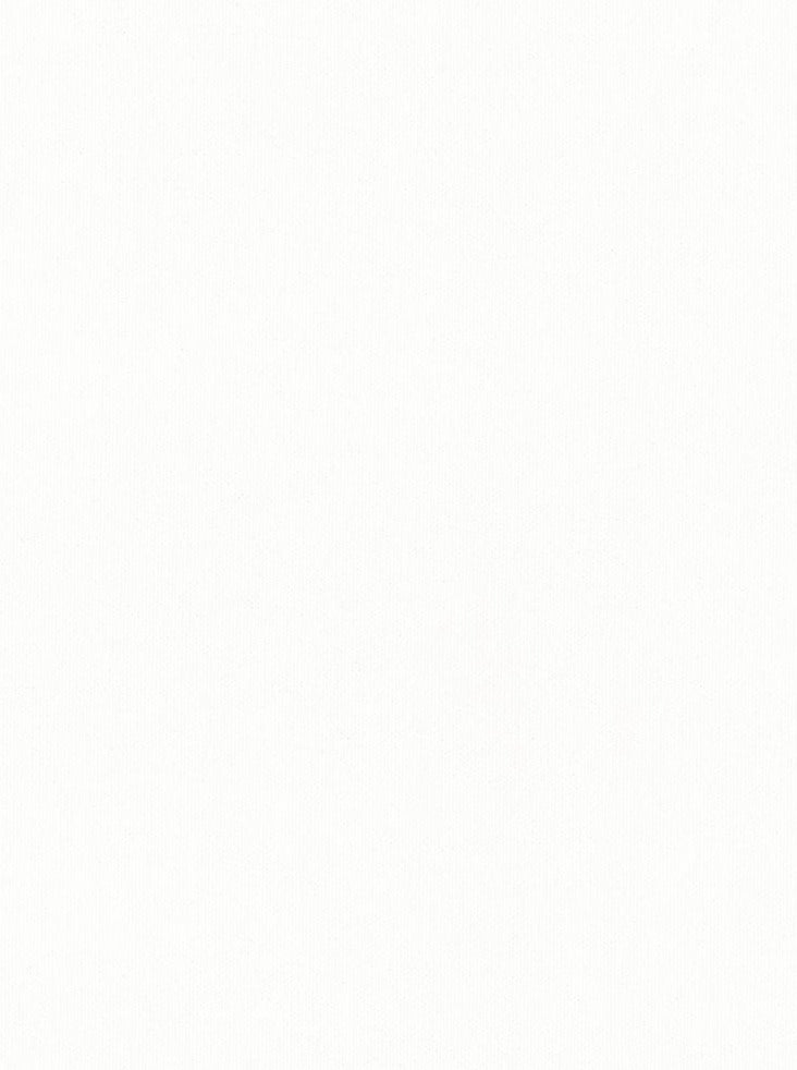 BAYOU WHITE 10 OZ. COTTON DUCK