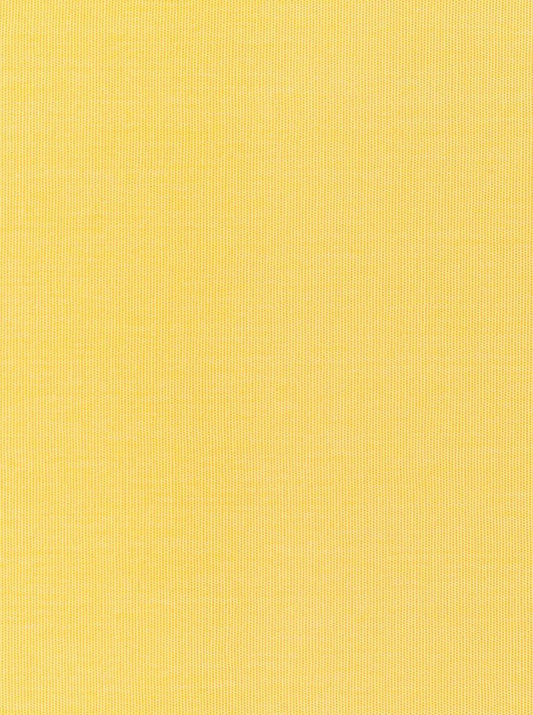 CANVAS BUTTERCUP