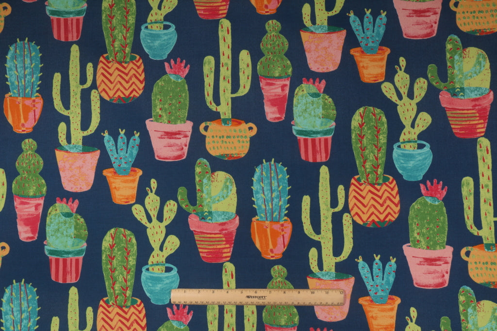 CETERA BALTIC (OUT DOOR)