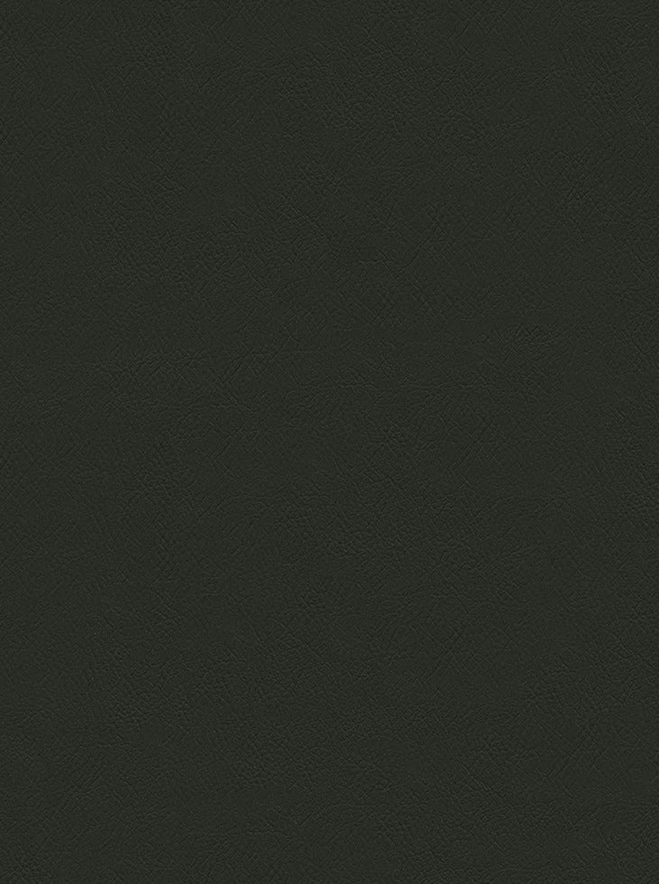 CHALLANGER CHINCHILLA