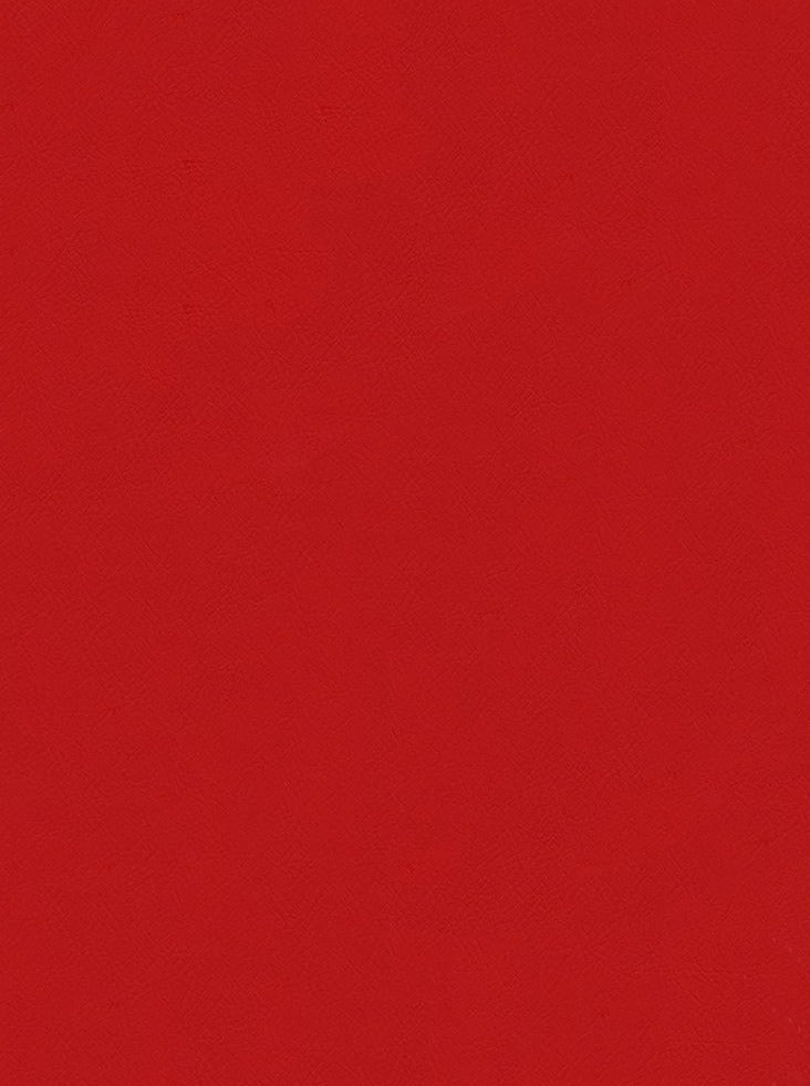 CHALLENGER CHERRY RED