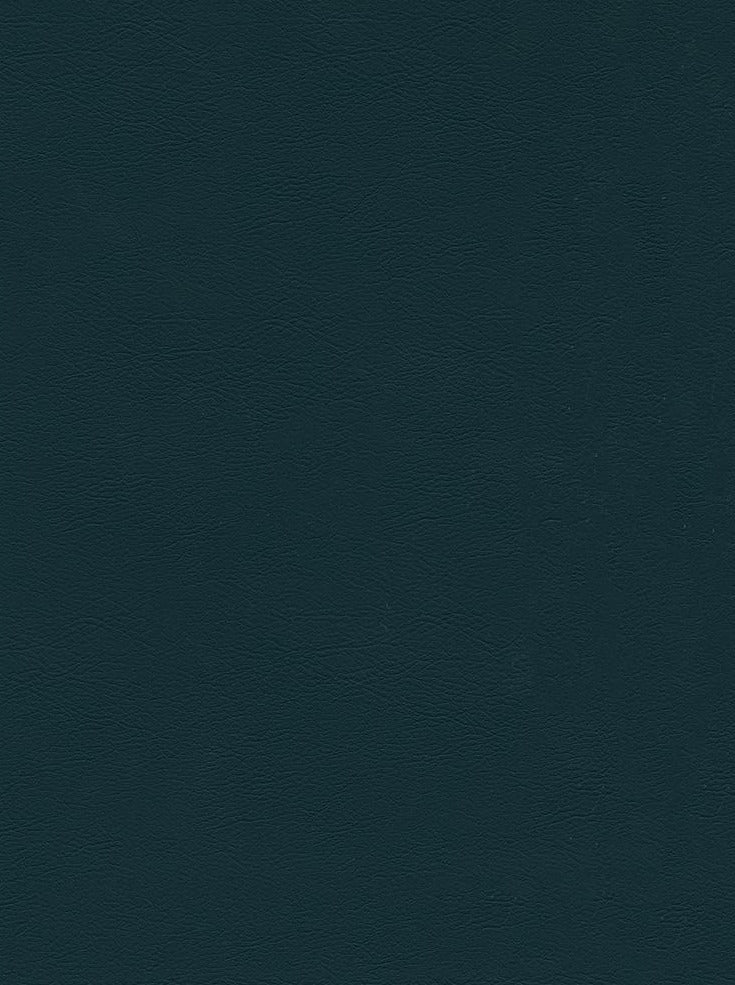 CHALLENGER DEEP TEAL