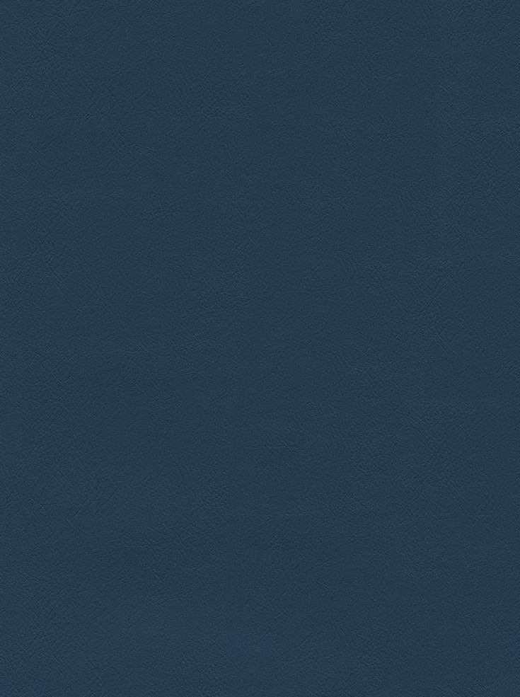 CHALLENGER DENIM BLUE