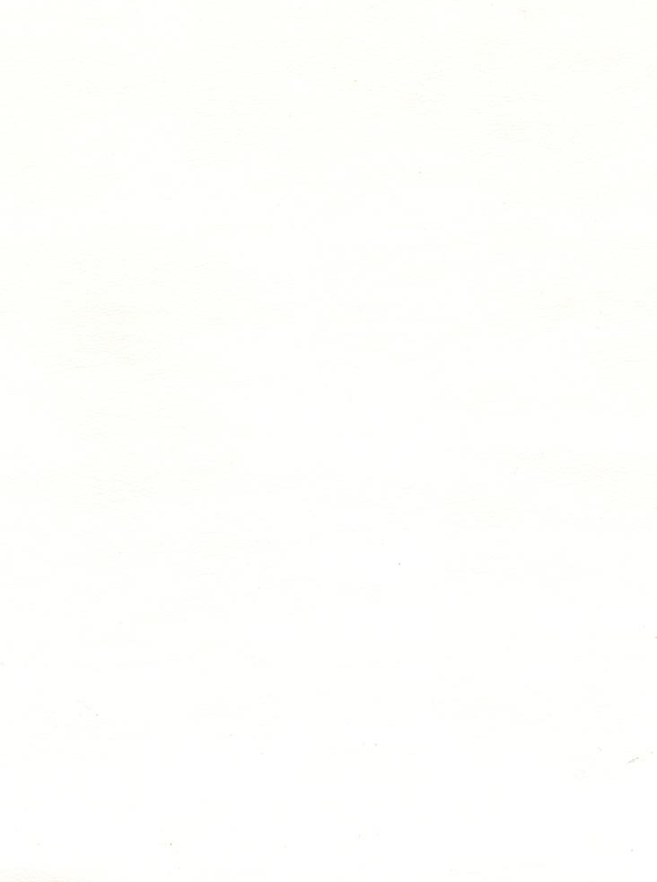 CHALLENGER MYSTIC WHITE