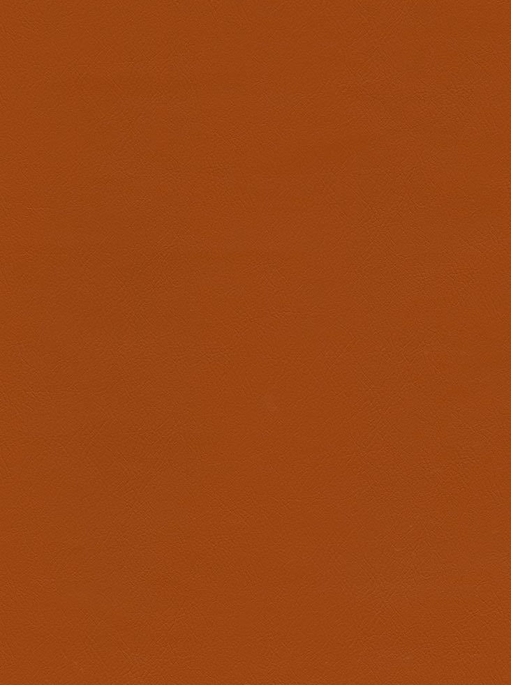 CHALLENGER PUMPKIN SPICE