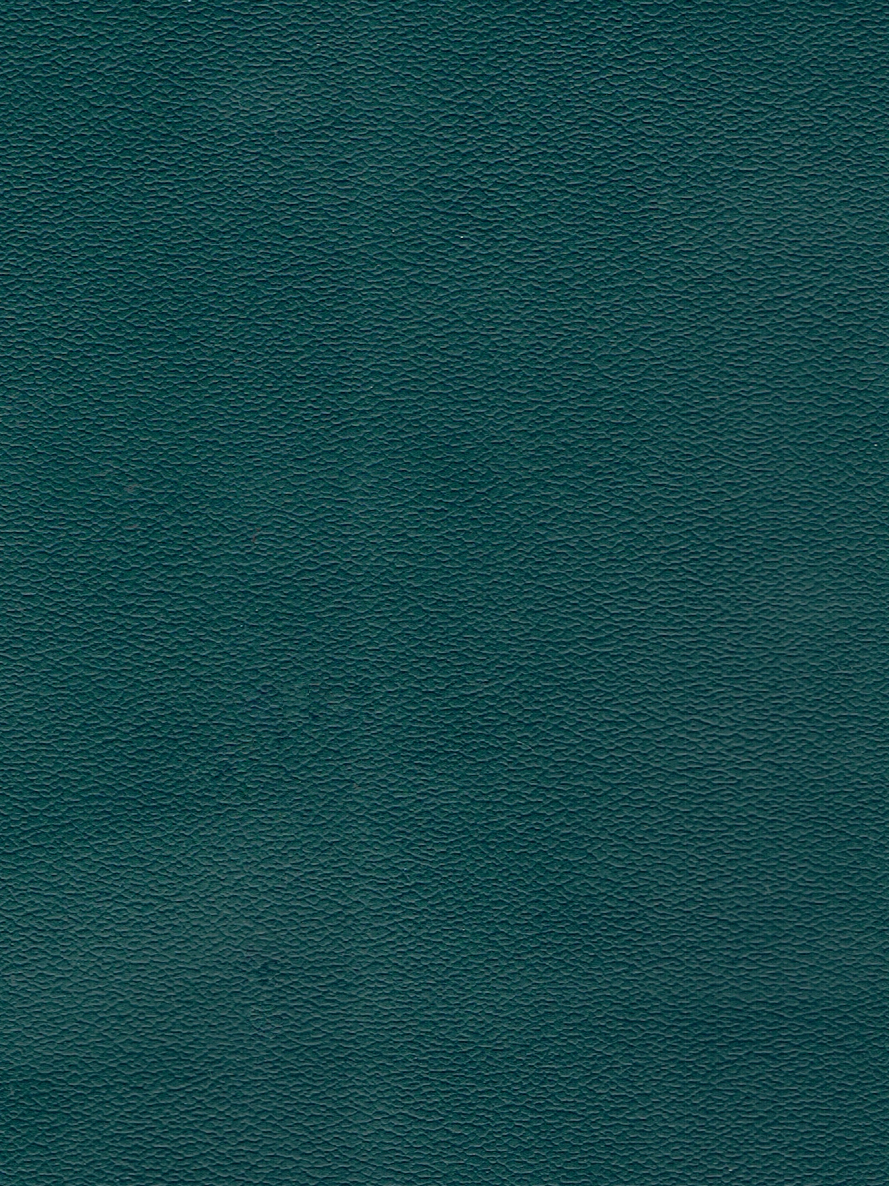 DENALI BLUEGRASS