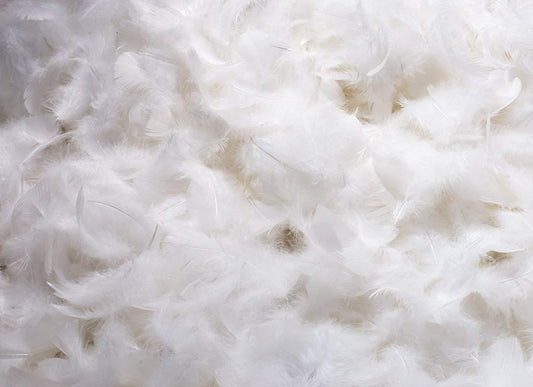 Feather Bulk 25/75 10lb