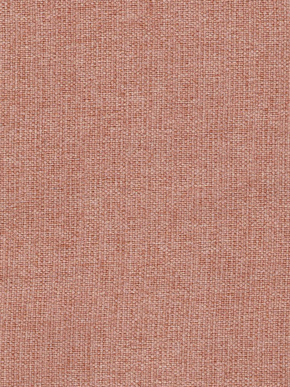 LALA CORAL