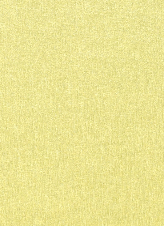 LIVERPOOL 800 PROVINCE YELLOW