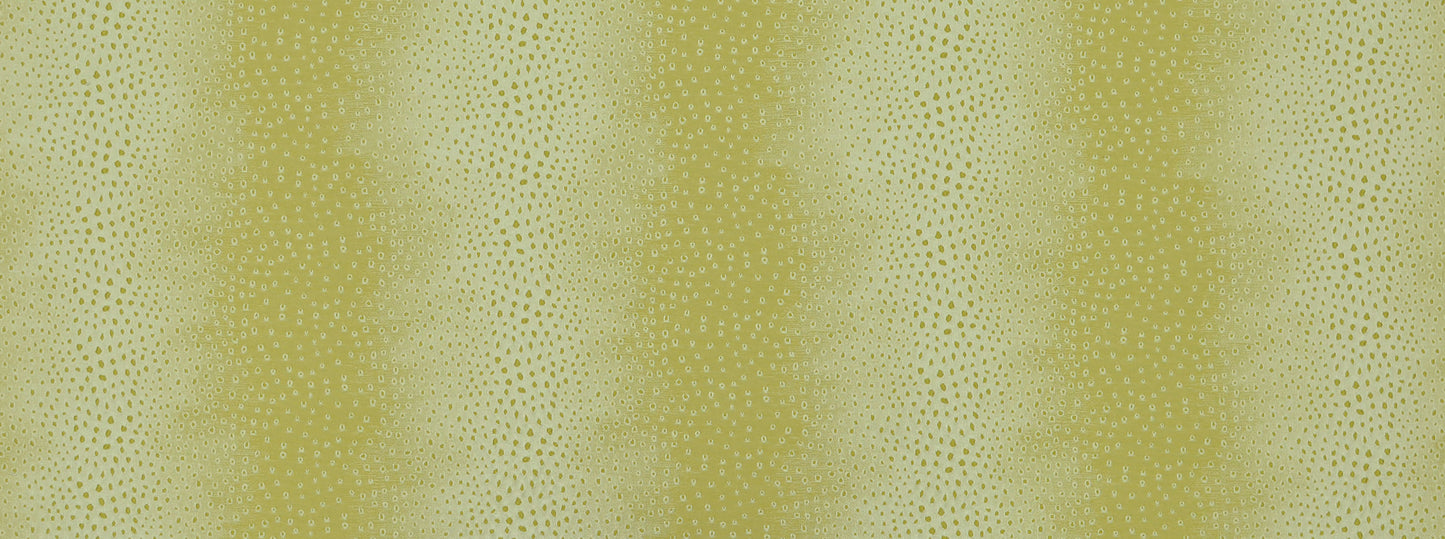 LOUNGE LIZARD 244 ACID GREEN