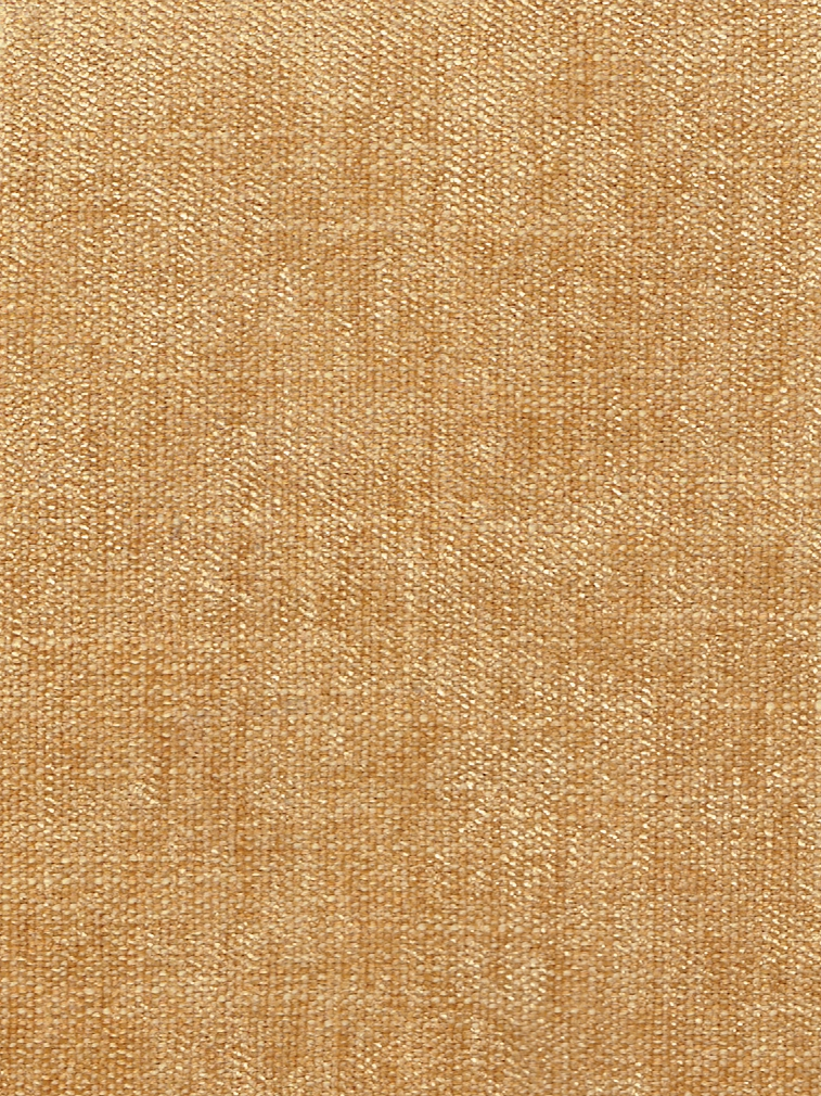 PK INTERSIC PLANTAIN