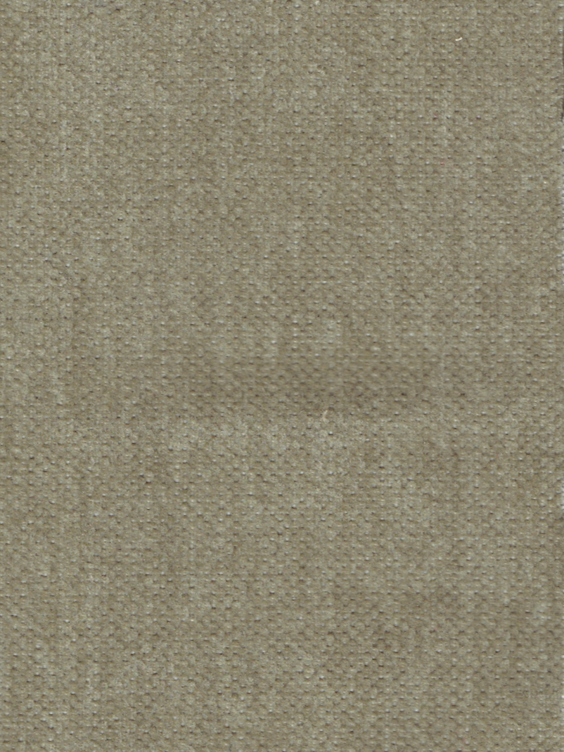QUIAN PUTTY