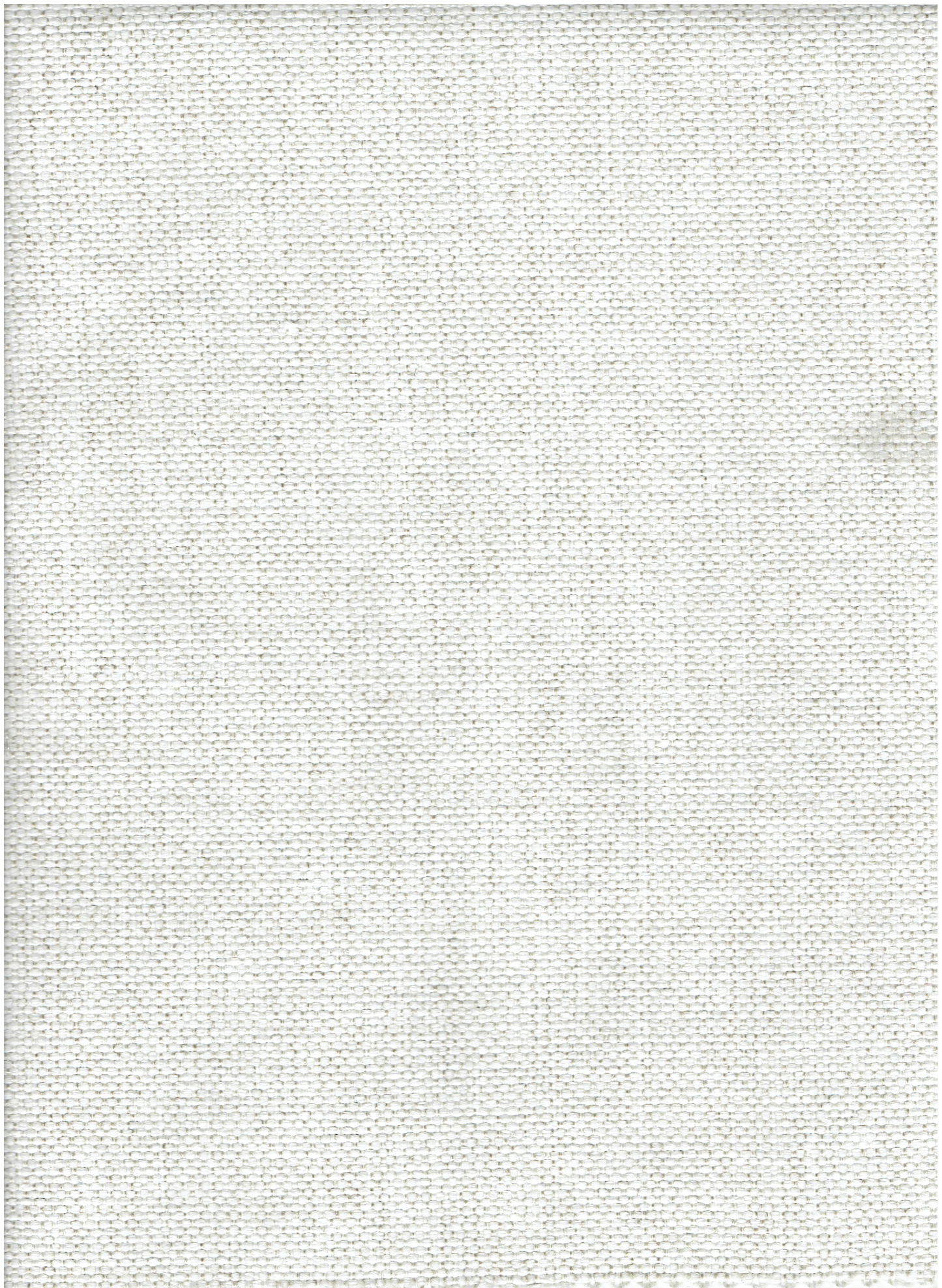 REVOLUTION HAILEY CANVAS