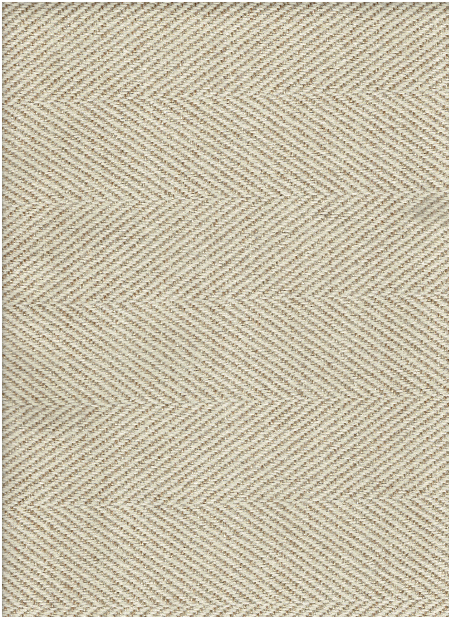 REVOLUTION TUX SISAL