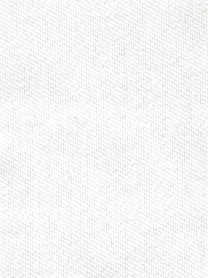 REVOLUTION WISDOM BLEACH