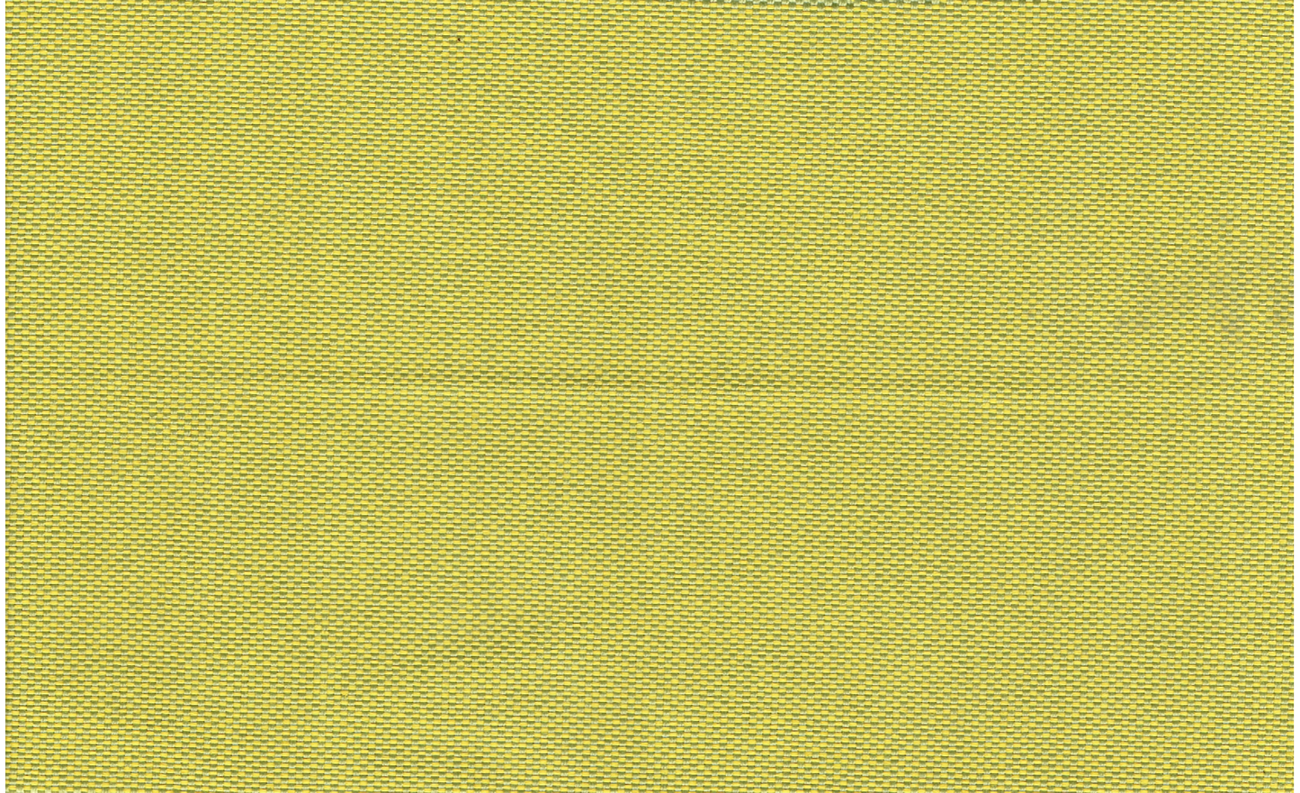 SD ZEN 244 ACID GREEN