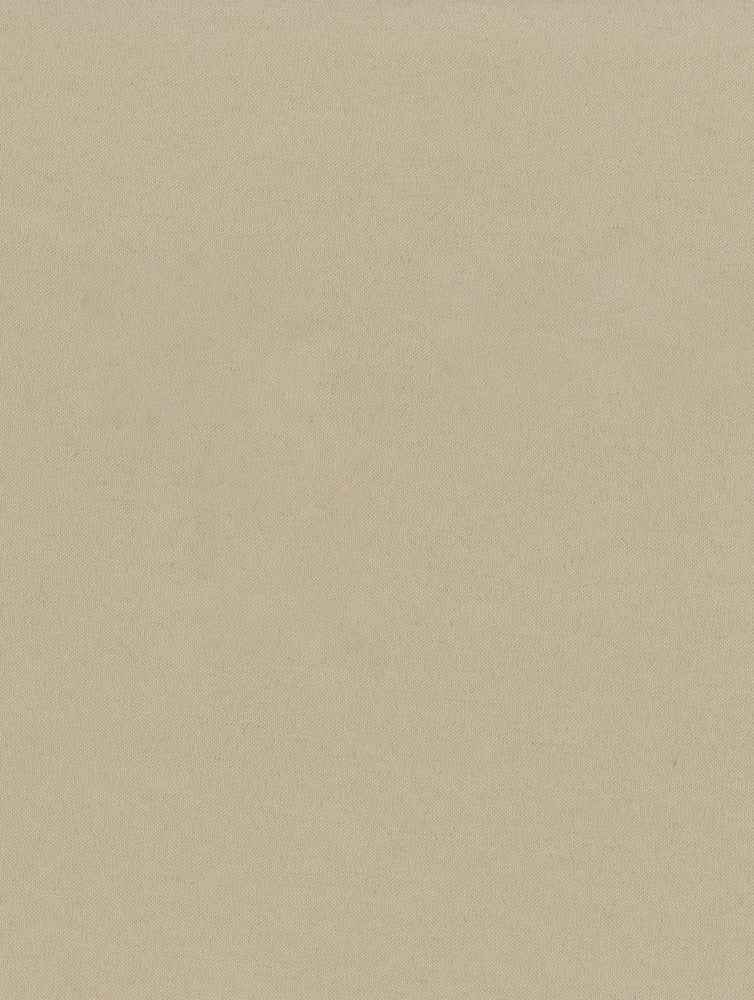 SEQUOIA 609 MUSHROOM