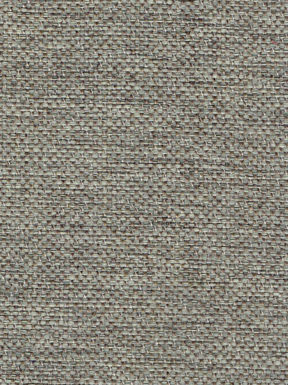 SIMPLEX WILD MUSHROOM