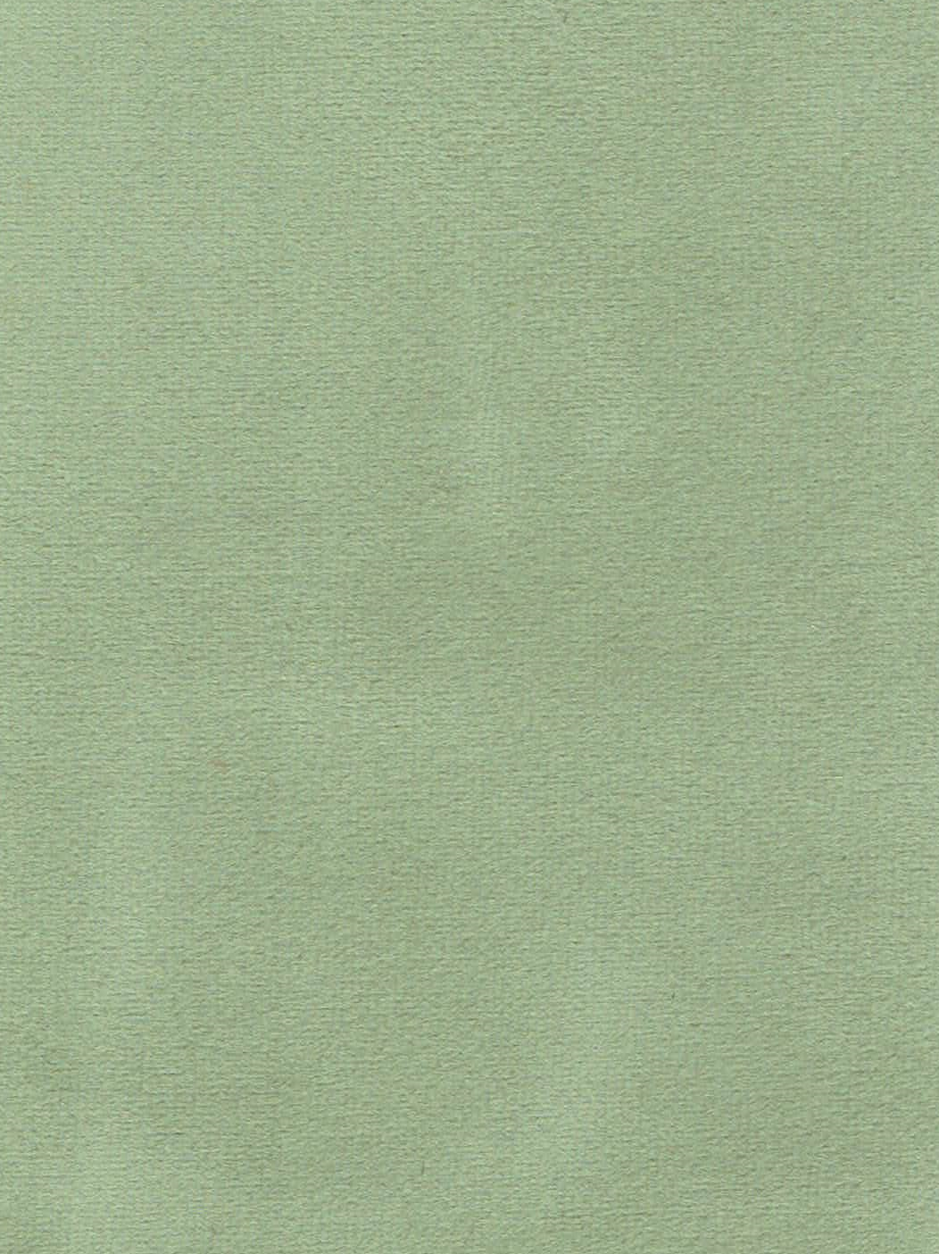 T11577 CELADON