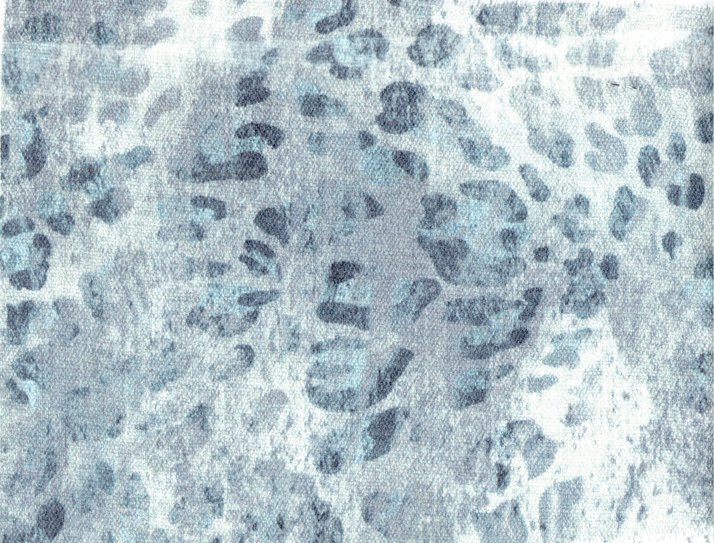 TOGOBA SILVER FROST