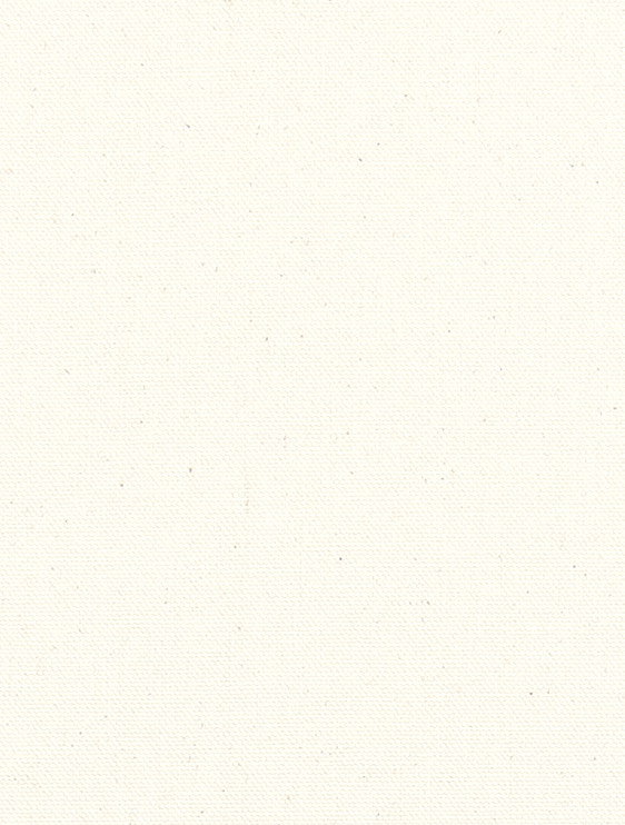 UNPRINTED WSHD 10OZ WHT.COTT