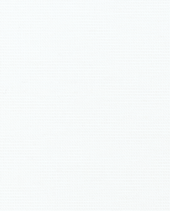 UNPRINTED WSHD WHITE FLAX