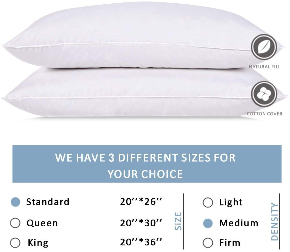 Wht Goose 5/95 Bed Pillow -Queen (20 X 30)