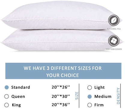 Wht Goose 5/95 Bed Pillow -Queen (20 X 30)