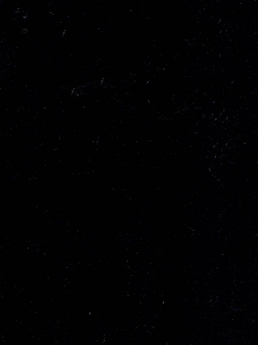 CANVAS RAVEN BLACK (OUTDOOR)