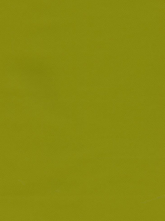 CHALLENGER CITRON