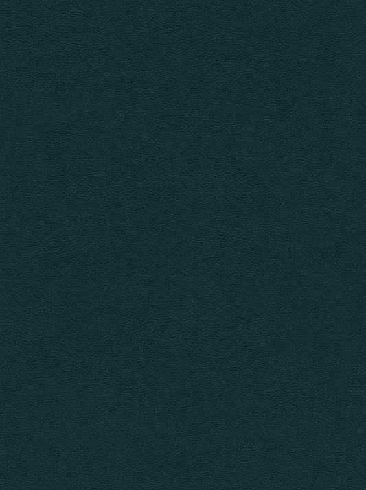CHALLENGER DEEP TEAL