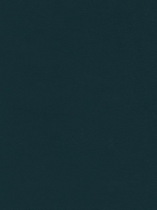 CHALLENGER DEEP TEAL