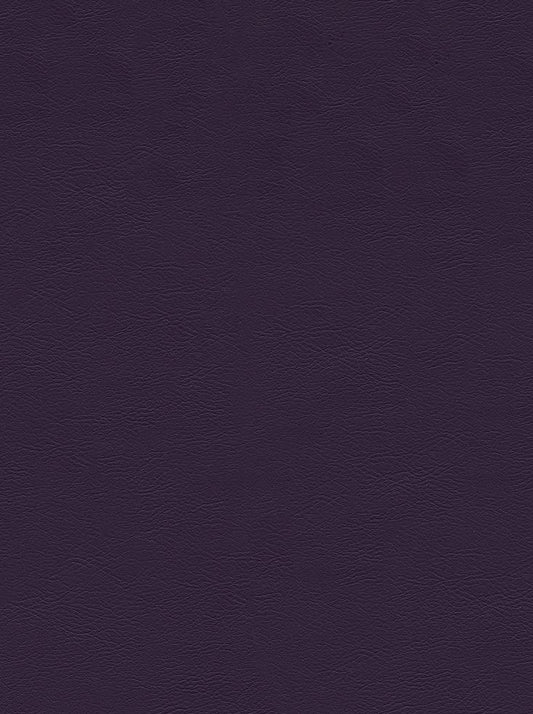 CHALLENGER PLUM