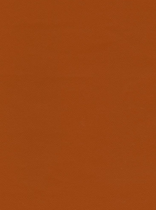 CHALLENGER PUMPKIN SPICE