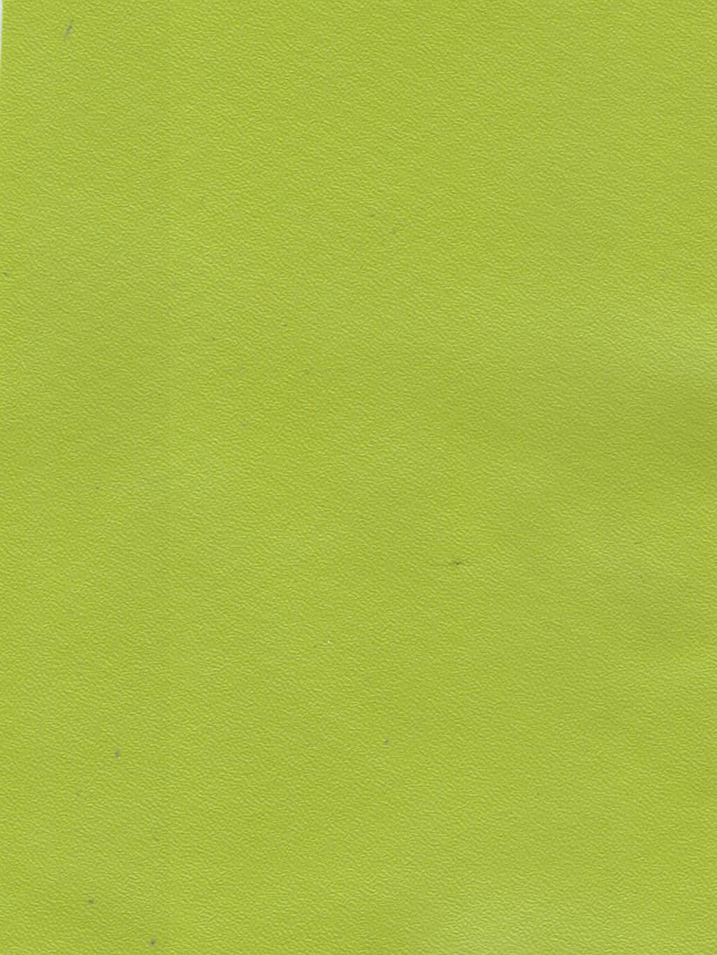 LAKELURE RC MARINE VINYL NEON