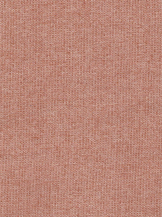 LALA CORAL