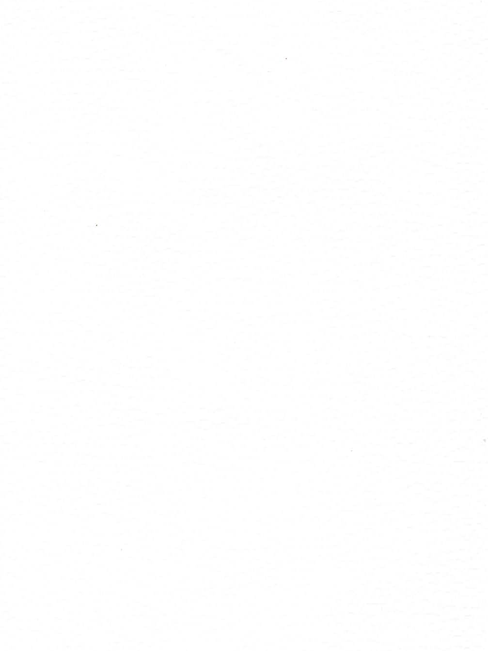 PALMA PA 3169 WHITE