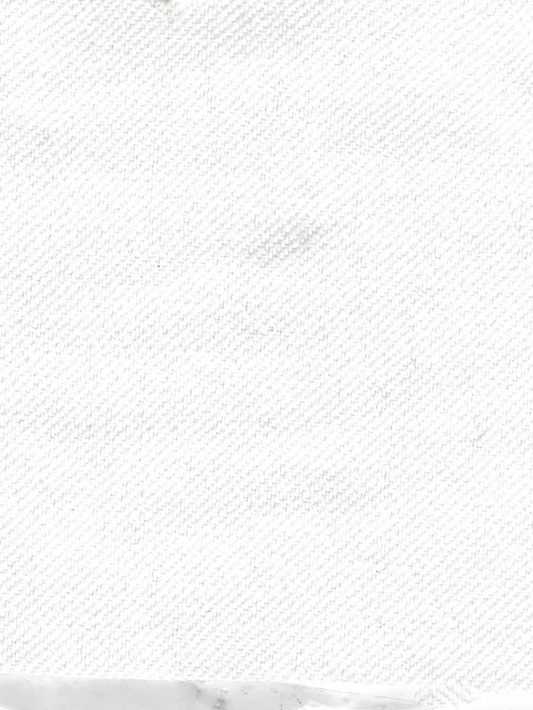 REVOLUTION ZION BLEACH