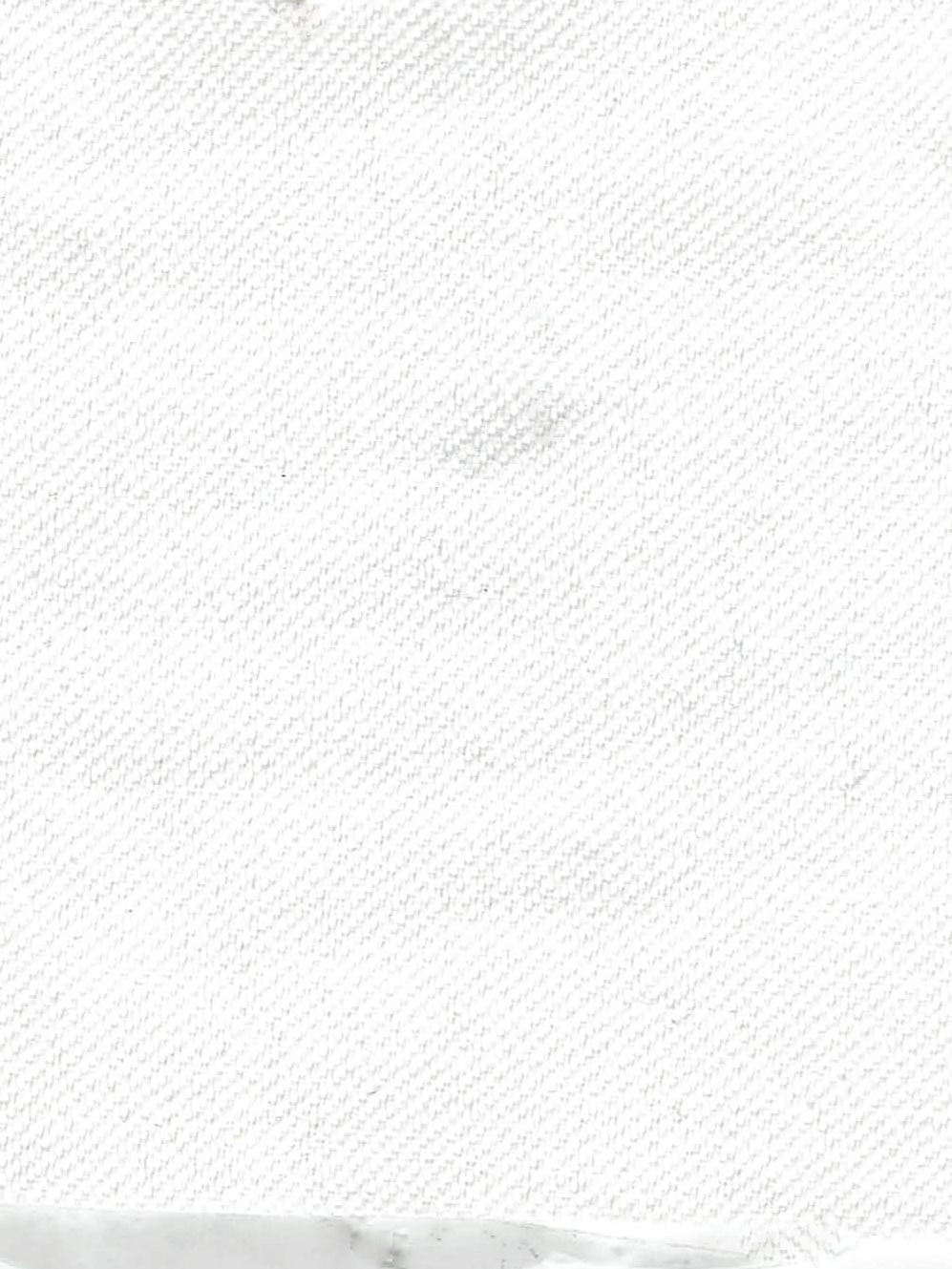 REVOLUTION ZION BLEACH