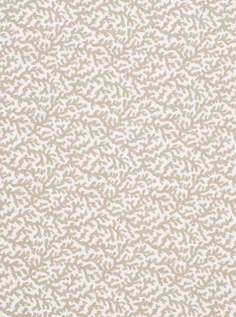 REVOLUTION SPONGE LINEN