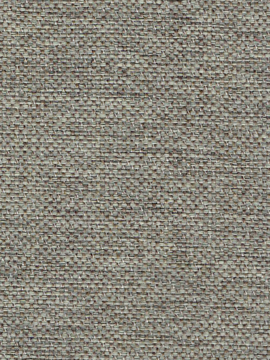 SIMPLEX WILD MUSHROOM