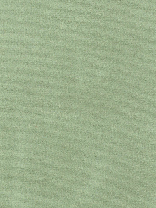 T11577 CELADON