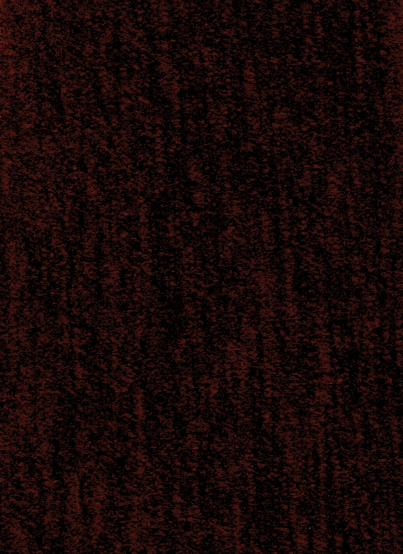 VENICE SCARLET